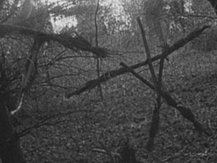 Bruja de blair Blair Witch Project