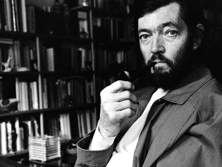 Julio Cortazar Twin Peaks Realismo mágico Teleserue Texto 