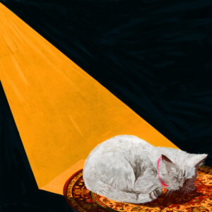 Joywave - Permanent Pleasure 2024